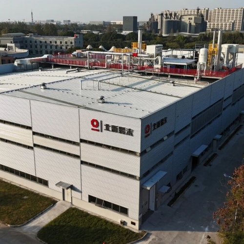 This reorganization not only catapults Beixin Coatings into the top tier of the powder coatings industry in a single move.