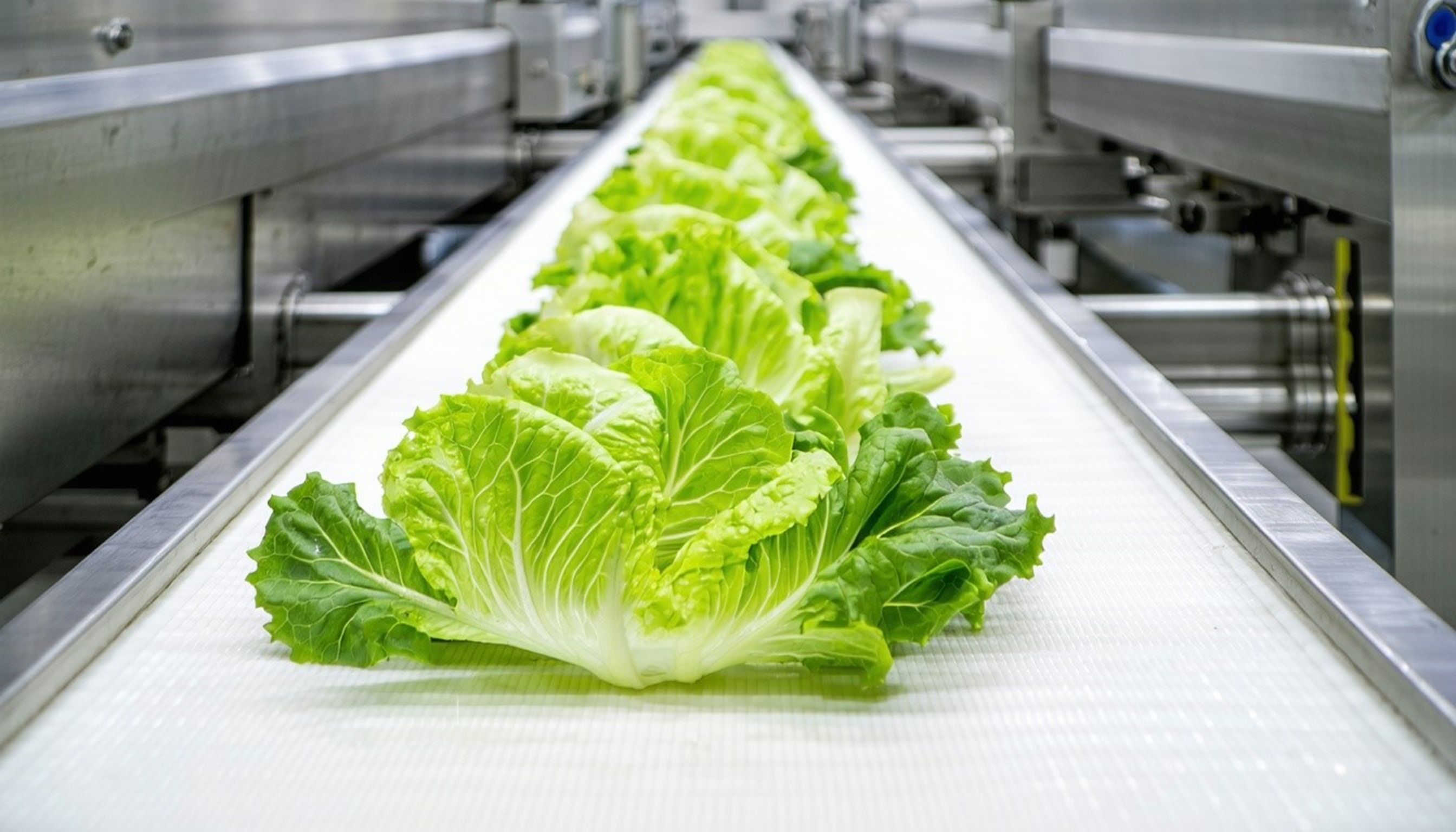 Clariant has received U.S. Food and Drug Administration (FDA) approval for its bio-based Licocare RBW wax additives for use in rigid polyvinyl chloride (PVC) food-contact applications.