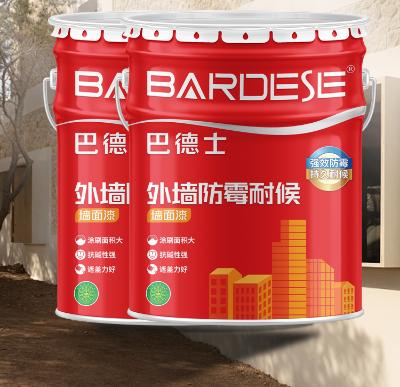 涂料成品