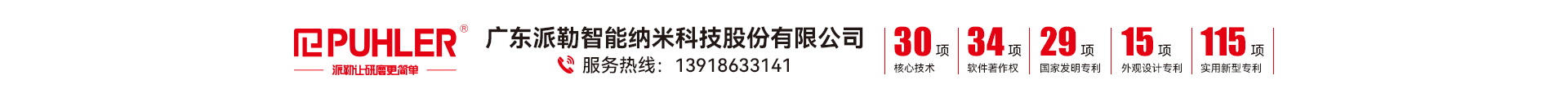 广东派勒智能纳米科技股份有限公司