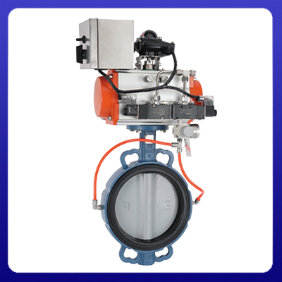 EXPANSION BUTTERFLY VALVE    