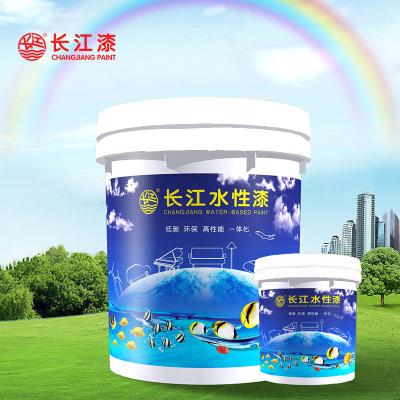 涂料成品