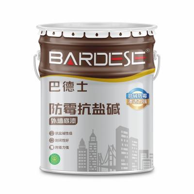 涂料成品