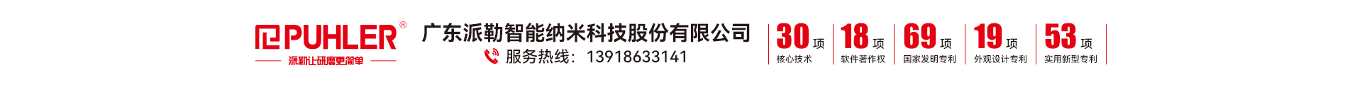 广东派勒智能纳米科技股份有限公司