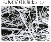 塑料弹性体