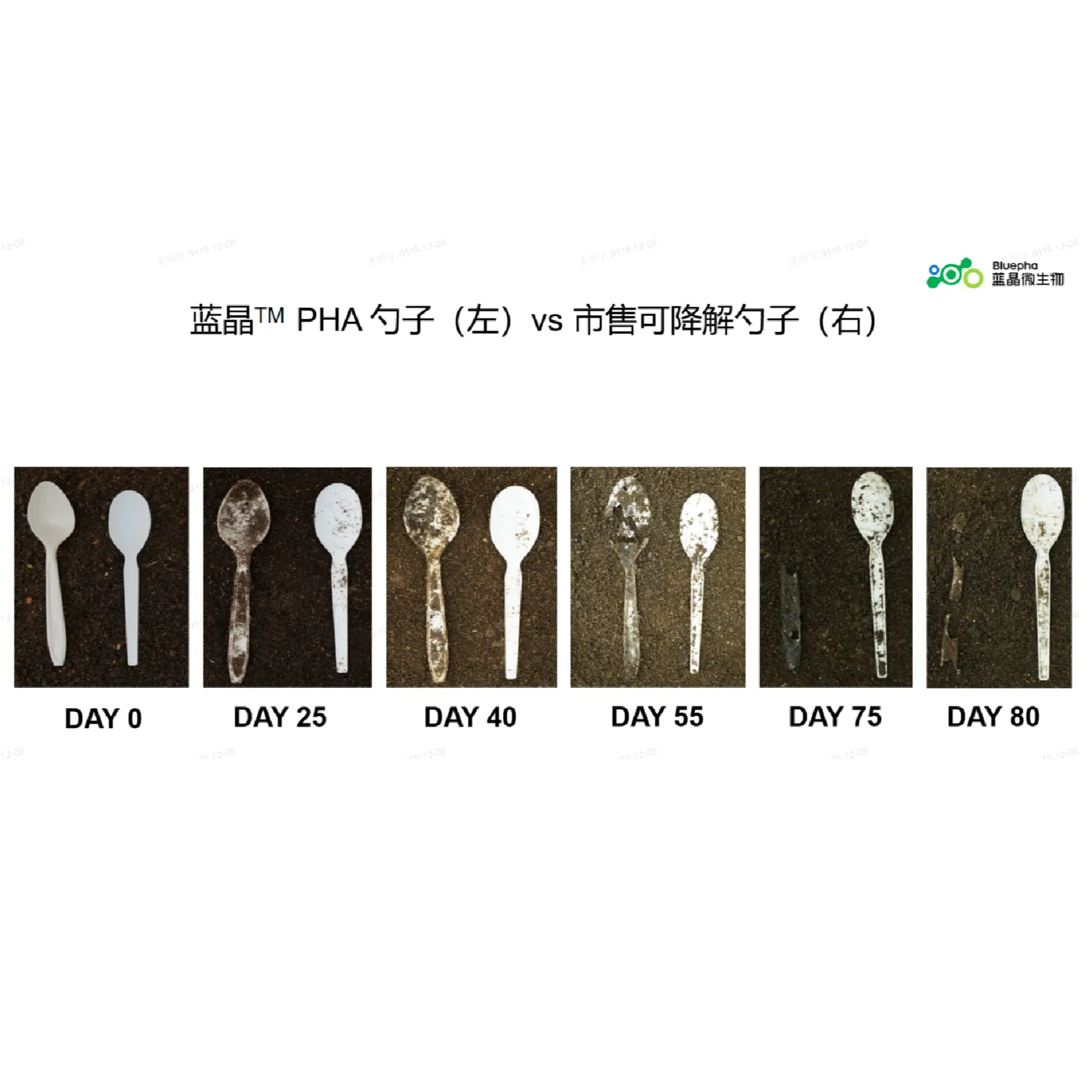 塑料弹性体